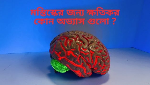 মস্তিস্কের জন্য ক্ষতিকর কোন অভ্যাস গুলো ?